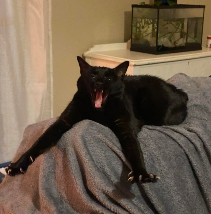 76b9f85f58be39d596bc06cc02