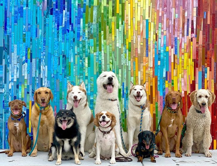 76bc60565990efd94362dbcb0c