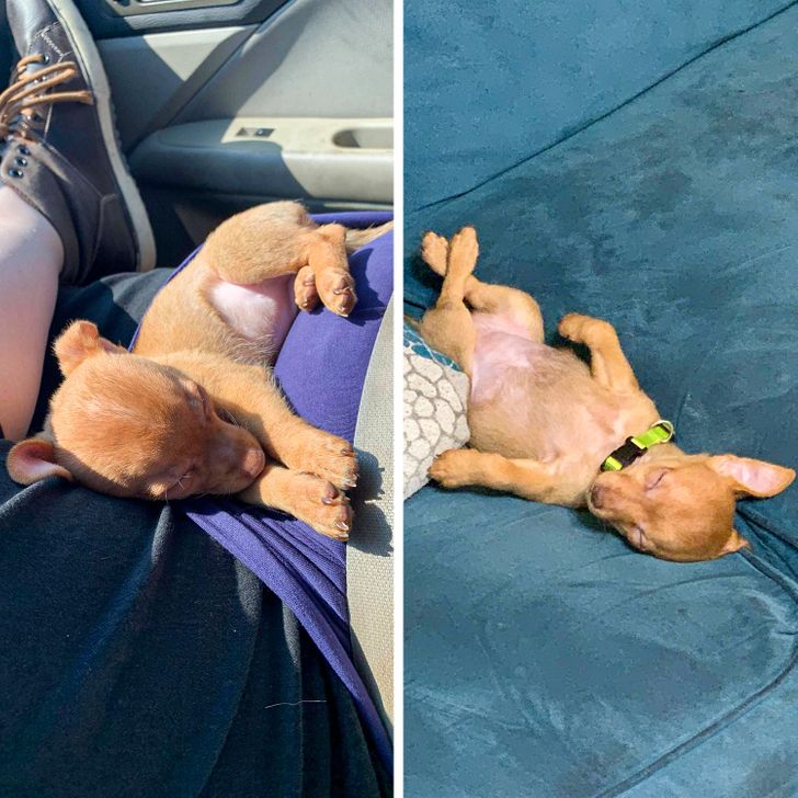 76ccdf5e3cb584710ae5c2ee3e