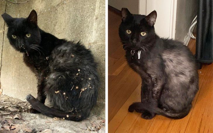 76dc245e1a96f88116f412031a