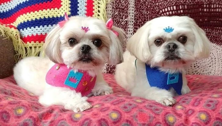 76dcec5a18b1dcd757946b03b3