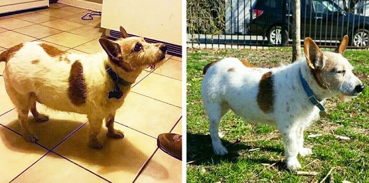 76e48f5f129aa77c9b32ff09e6