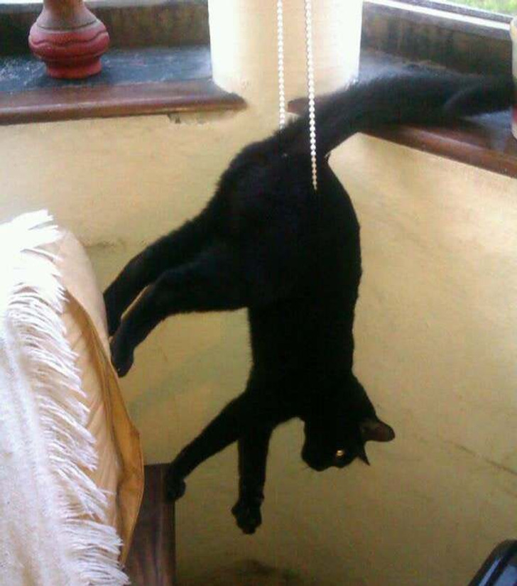 76ee995b90a9a72c26a0f563aa 76ee995b90a9a72c26a0f563aa