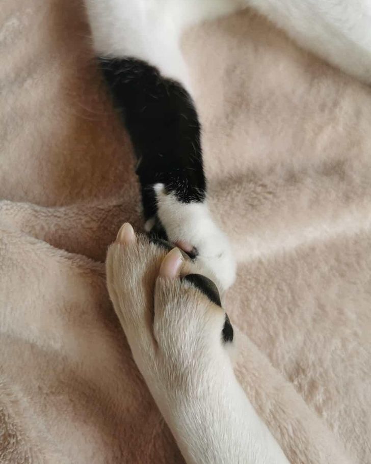 7705d65b1fb1165605402b50e6