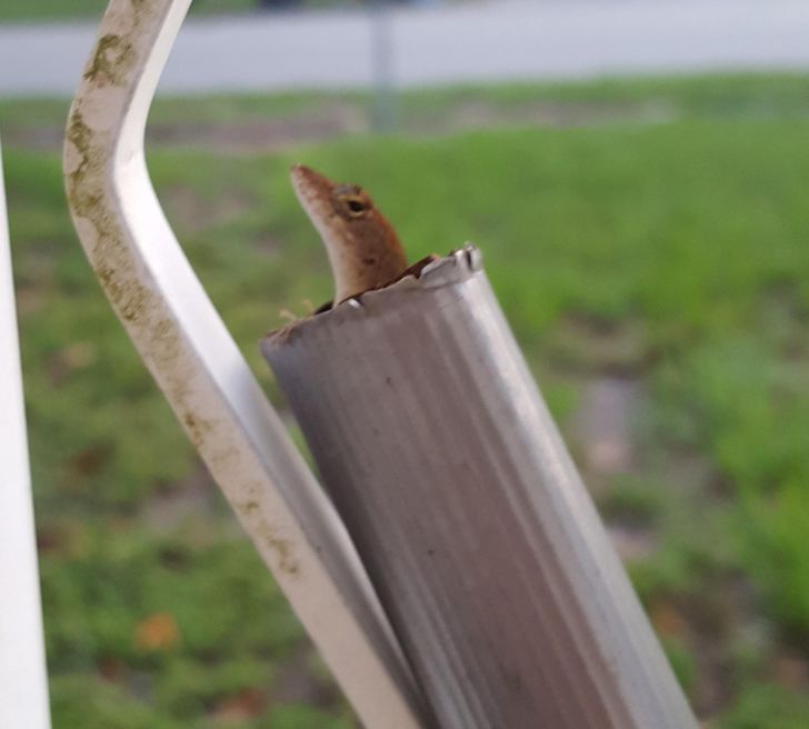 7709fd500a8a82be98a269a736