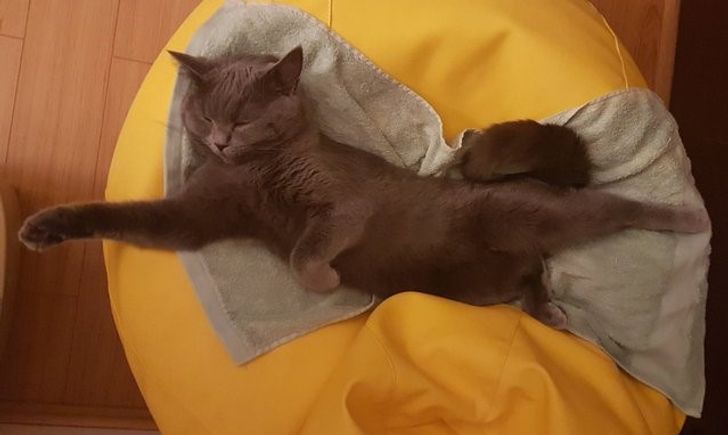 770a4a526481b19c0869291418