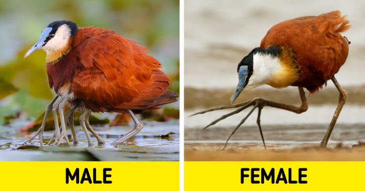 770e3d5f0798d7d9c5b754731d