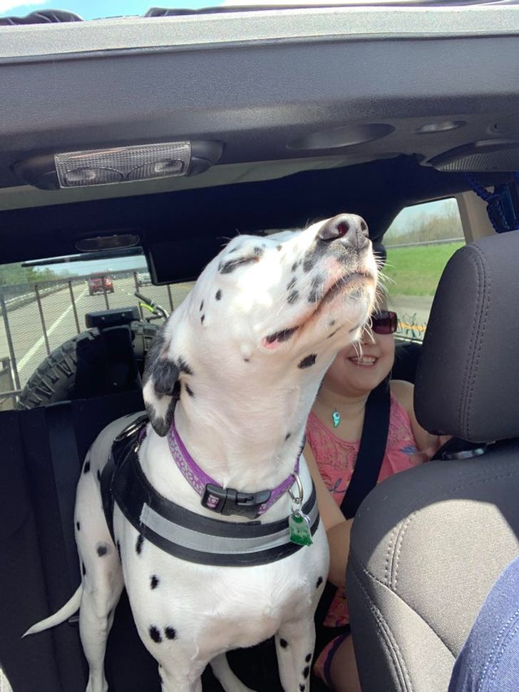 77107c5d9da25b39d699b9e901