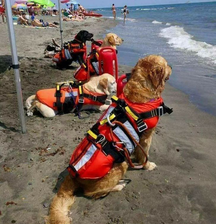 7711c5578ebb822e1d7fcb8bb2