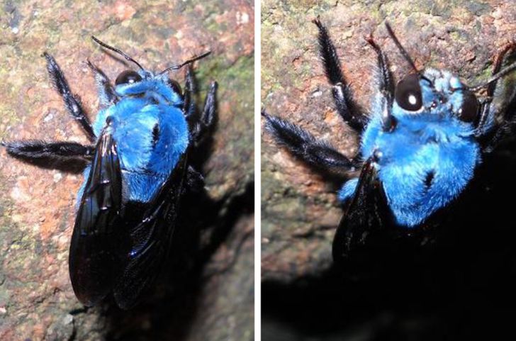 77156c5636ab080d1ddc5b2c66