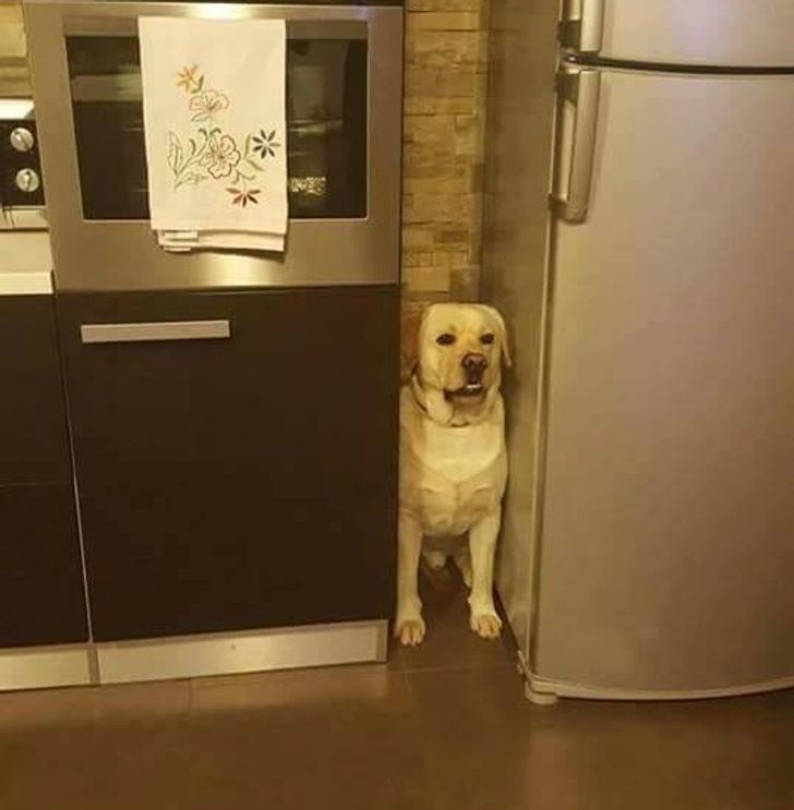 7717ae5f57a01b1003cb6e9f04