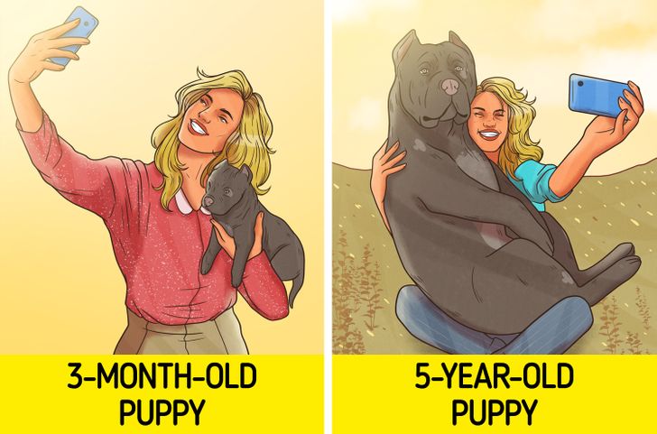 771c3c561e8d7ae36e9a396a7d 771c3c561e8d7ae36e9a396a7d