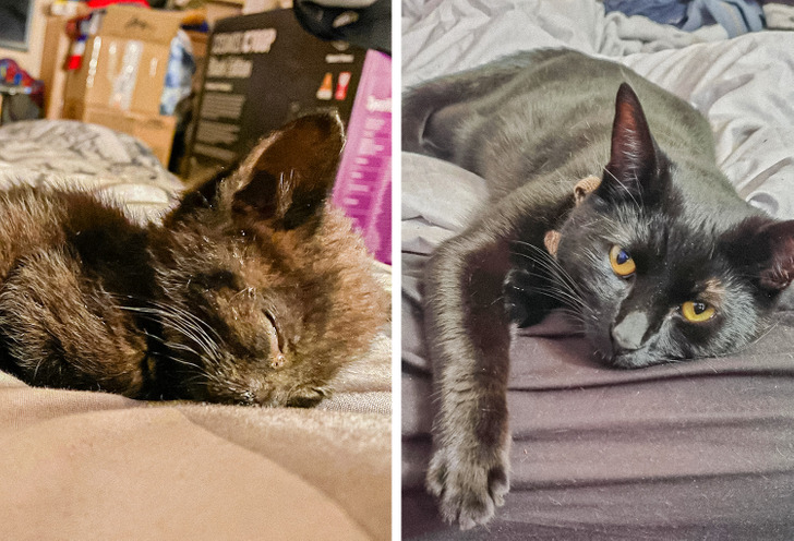 771f6d55f5b04ca3602068b15d 771f6d55f5b04ca3602068b15d