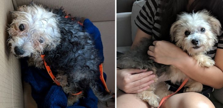 772f695104a3f18efa8044f828