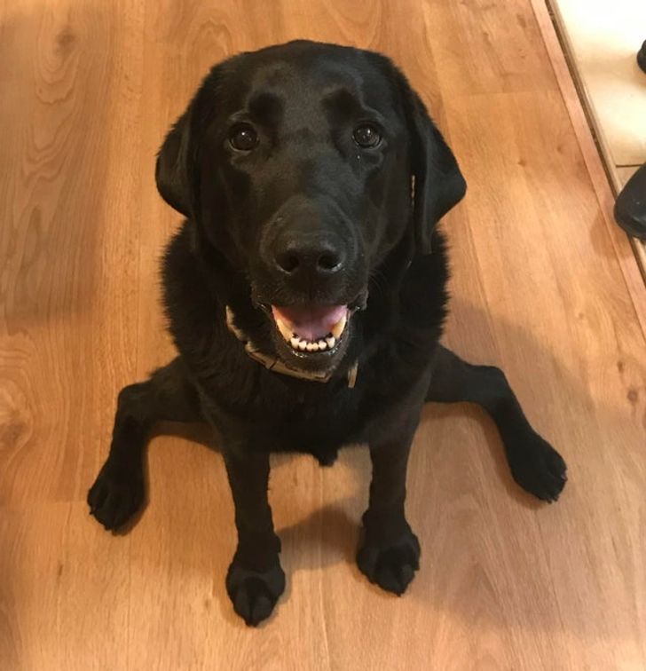 773c5254369ff0ba1f107038e1