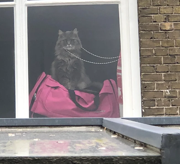 77410a55e385943588c174dd8d