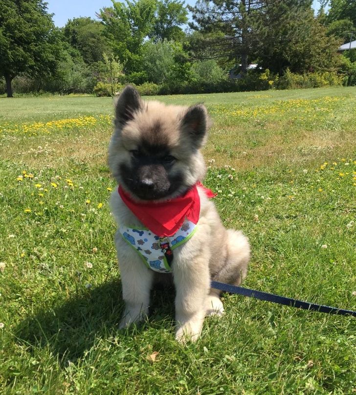 77470152d8a46c2aa36375e1c3