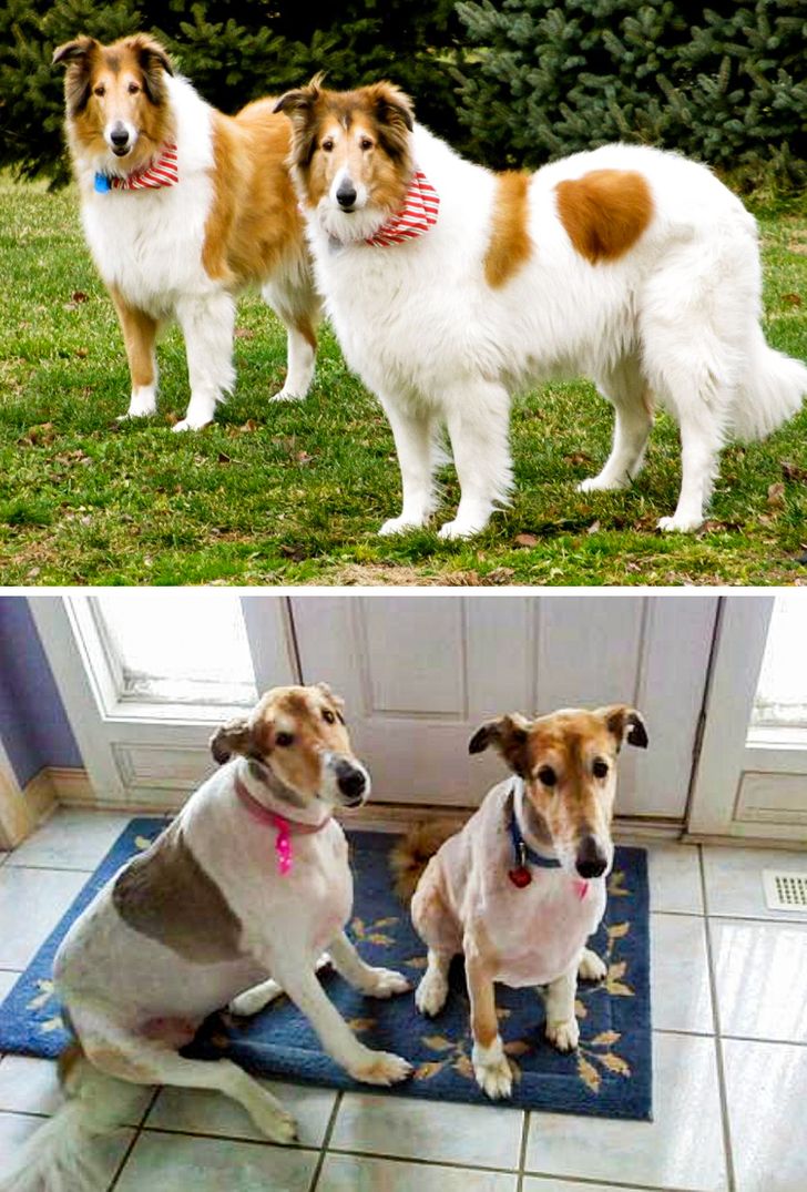 77482a5cc4a3b88841187b7b24