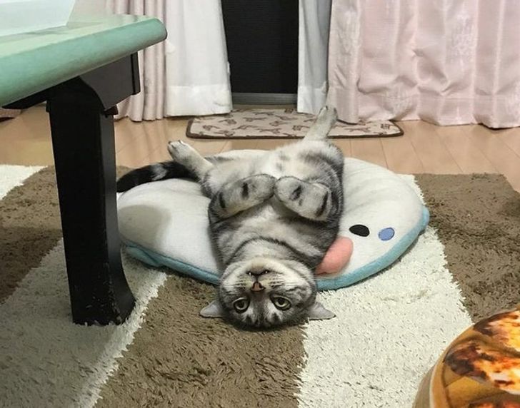 775cd354cbbdbe0ff15ab486d2