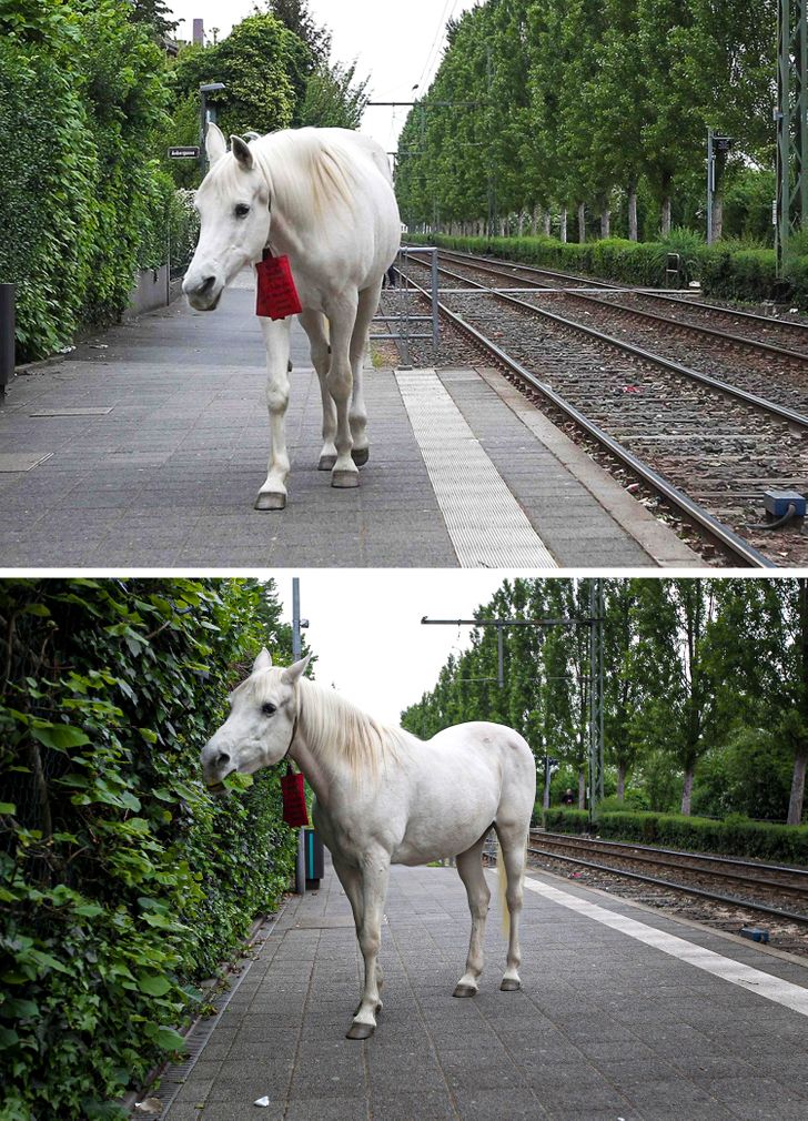 775ce952fd8951d0d36f2aea1c