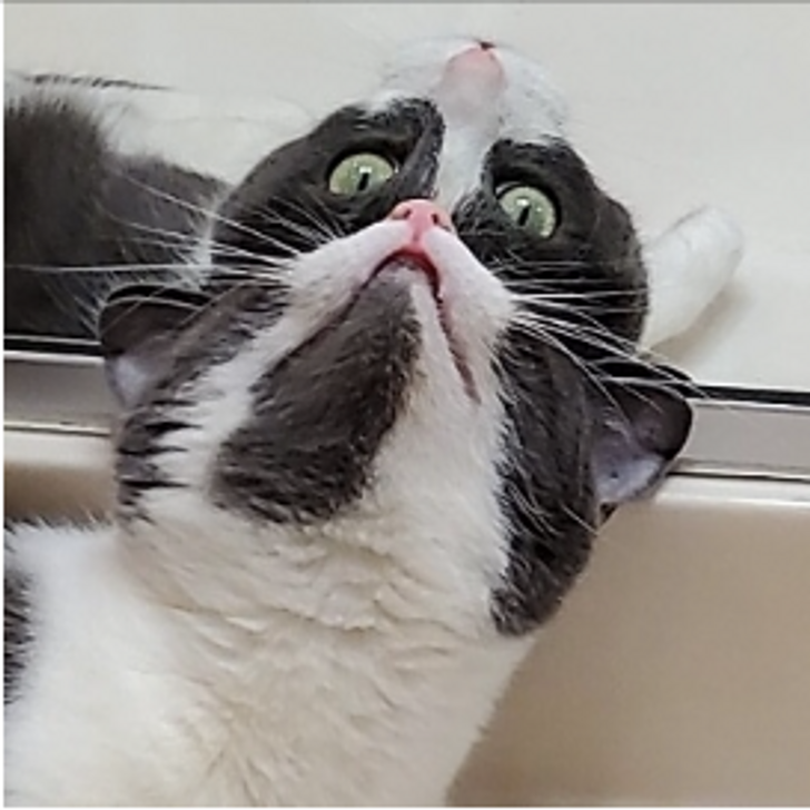 775fd051d2bd241d0c68910a97 775fd051d2bd241d0c68910a97