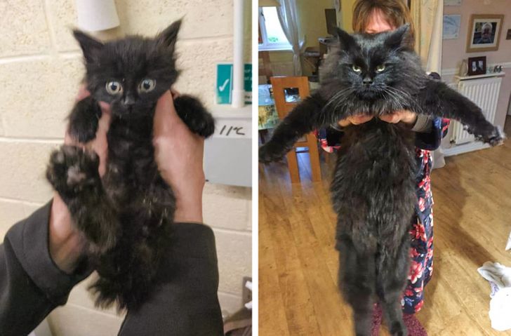 7760c1593abb5ca530bb0e2453