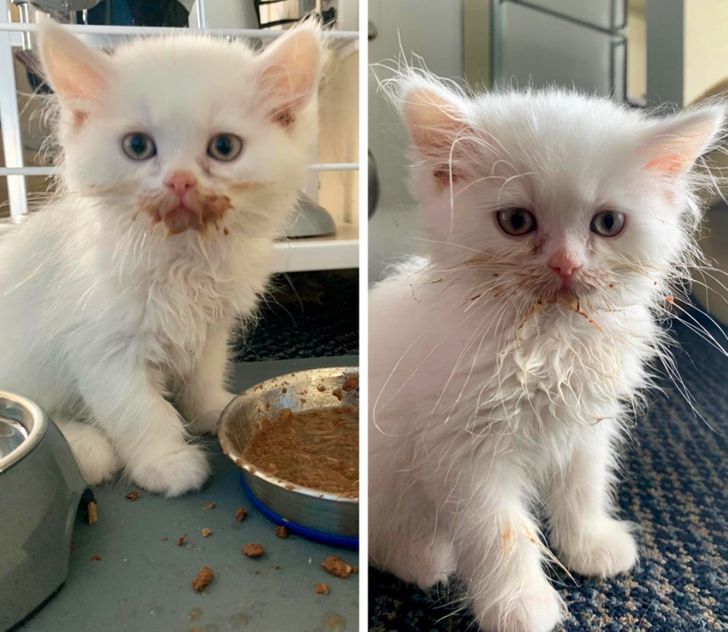 776543565f8b4a62aedb2cfb3c