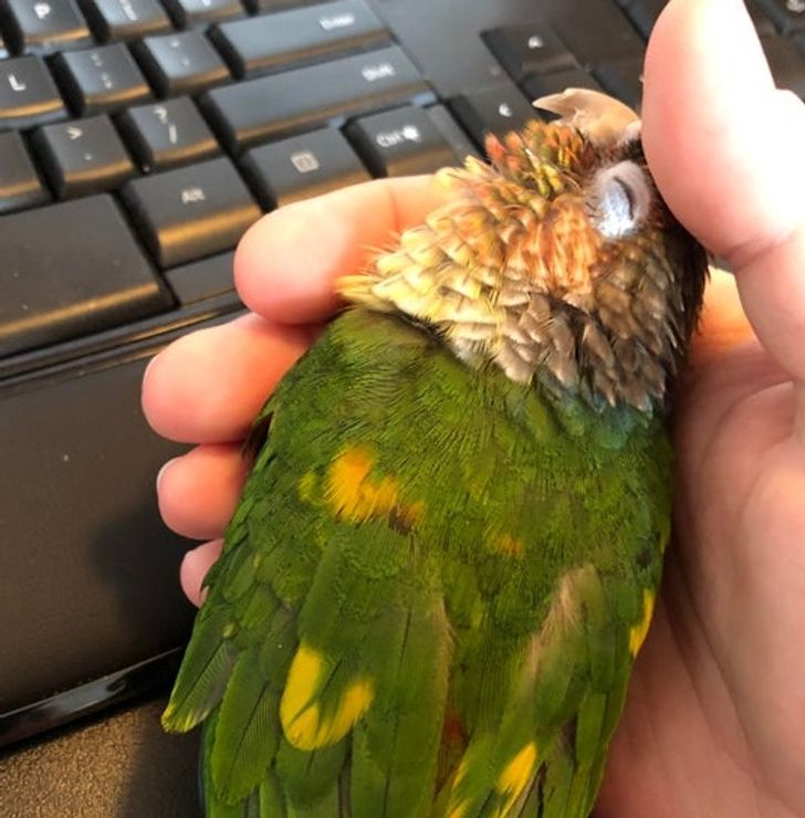 7768295a3ab387e7f0dc6e88cc