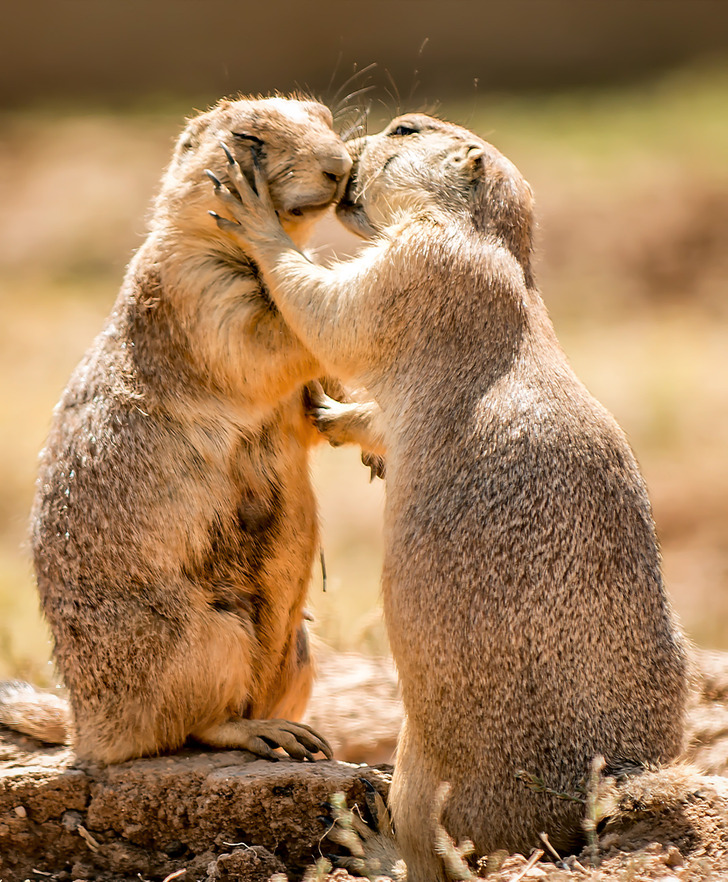 776deb583fa7d864a82a281878