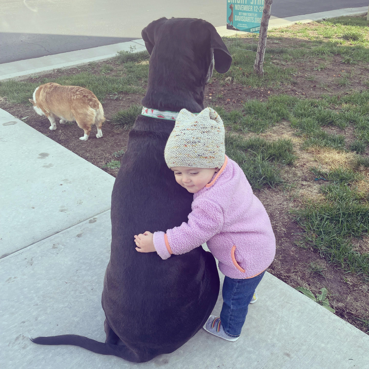 776f8b5fa4ad3c5bbabb6e102f