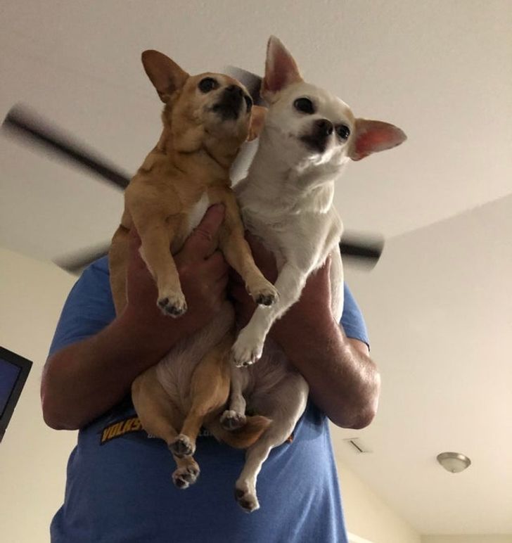 7783cc5b6089d97a51f4160bda