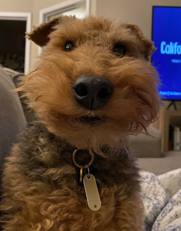 77844f549d8bc915688a2aa6fb