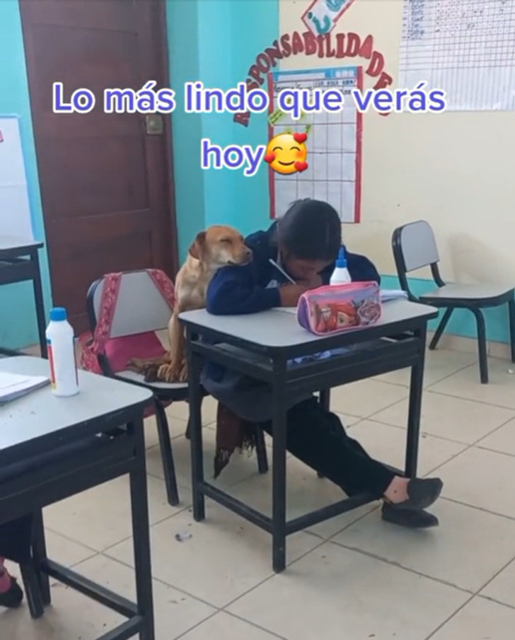 77962a53c5a40b16bc23af2aca