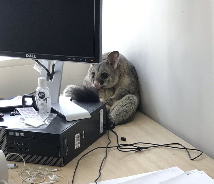 779c255487964908408e585bae