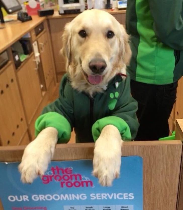 779d365b12ae30a16006d783de