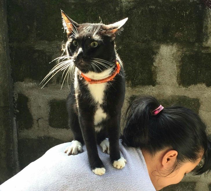 77a0325c408119024a6948e27f