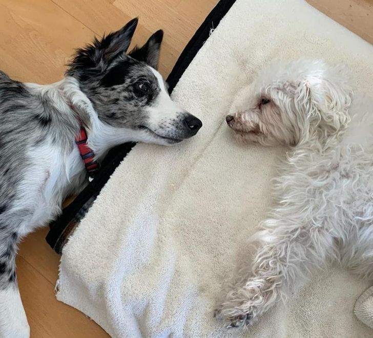 77a0e45924b32f01cbef925087