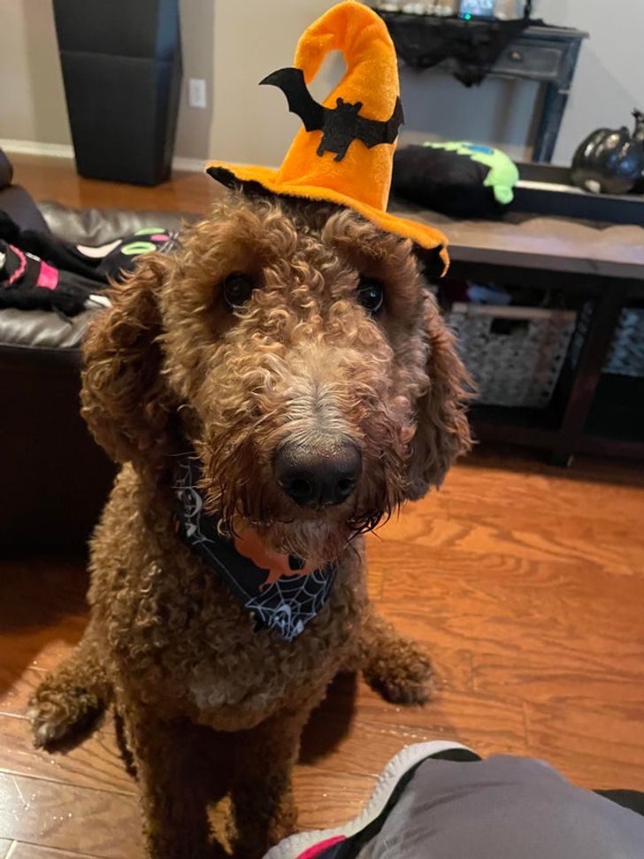 77a6f9510e8f435ec85aeb01d9