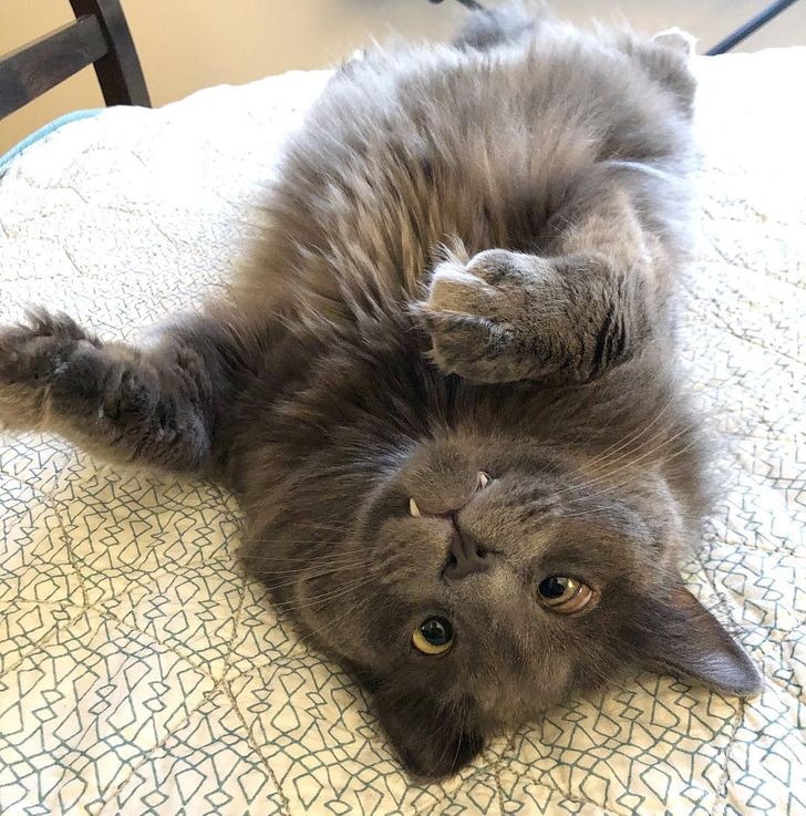 77ad8f563f9239ef7a7b6037a1