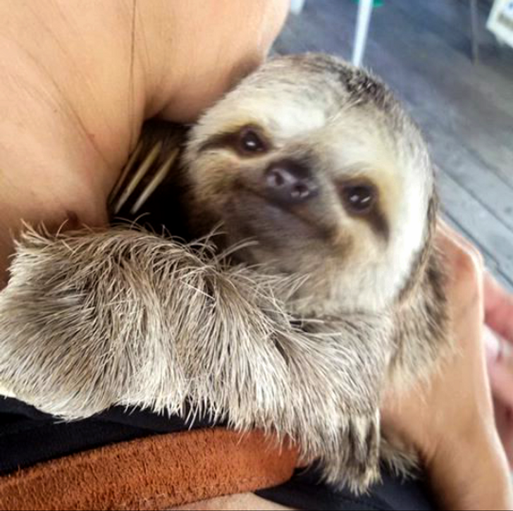 77c2b1533e9d4b510e9767d6f2