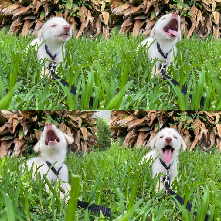 77c6e15602a6f9c5284c97aa6b 77c6e15602a6f9c5284c97aa6b