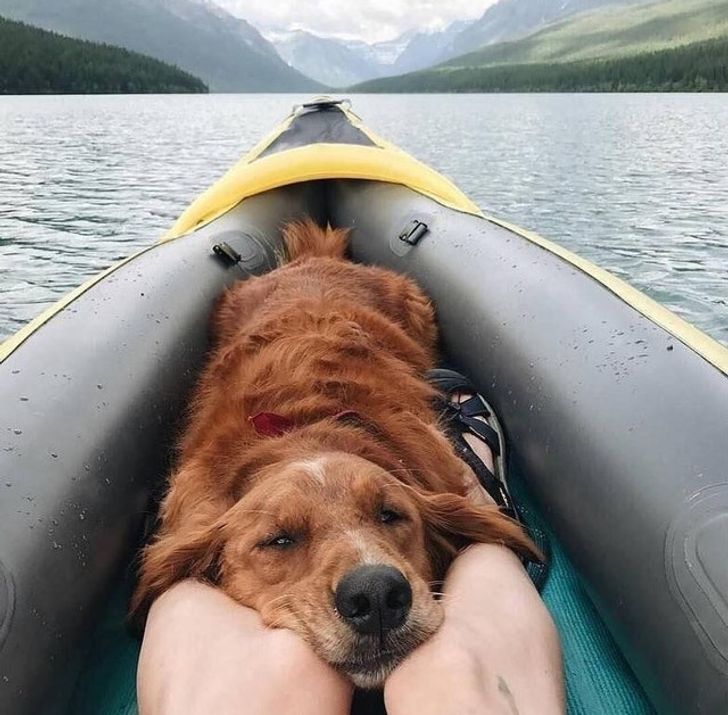 77cd2a535baaf36df4e83f200e