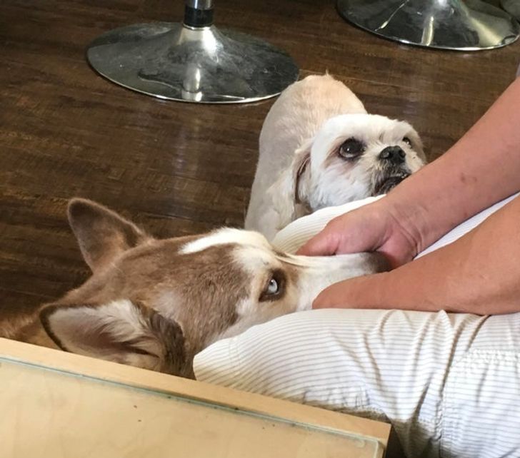 77cd915764884948cd04c1035d