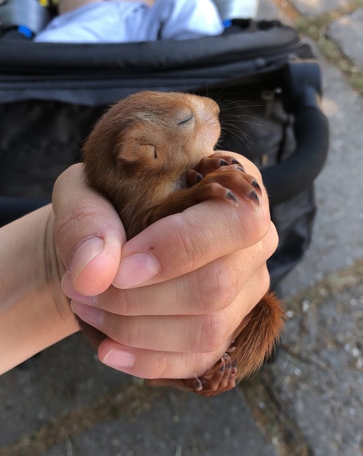 77d9c85c3a9ec650d21852227b