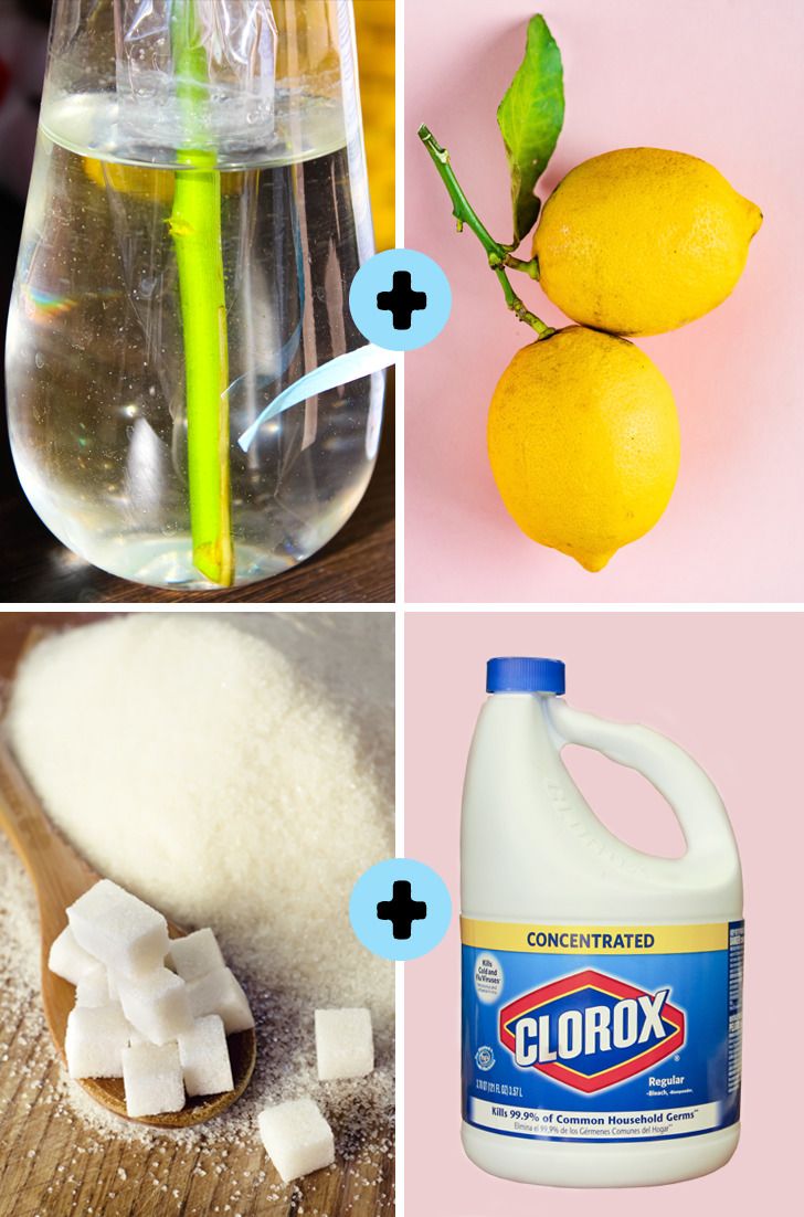 77de565caa9d8e2aa051222b13