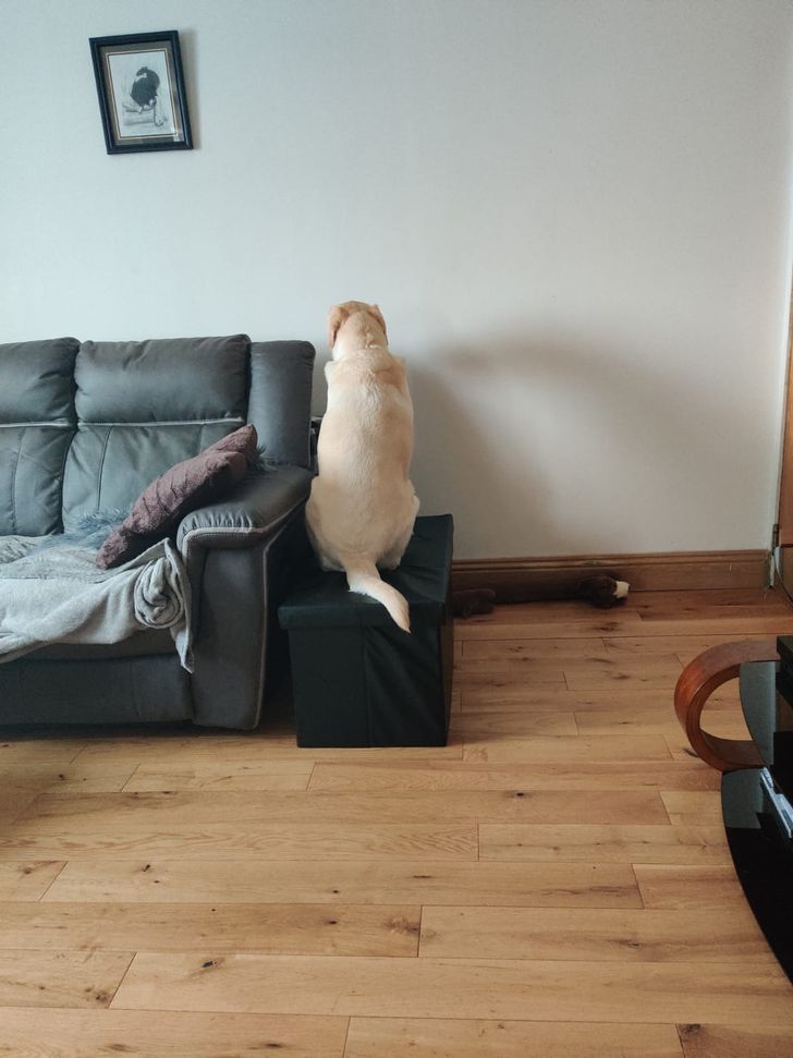 77f0e6555d870554ab5b611dff