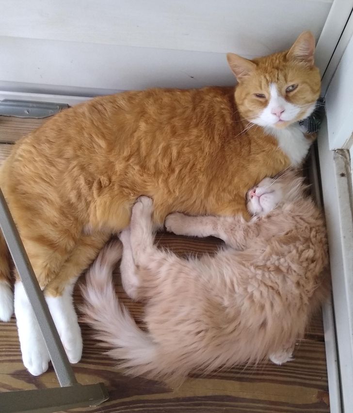 77f309586ba34be639d074c617