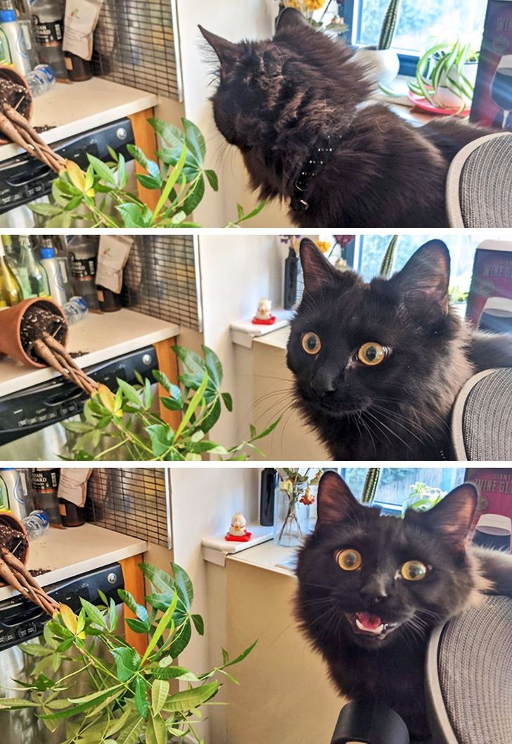 77f5025676b77954ae9e790008