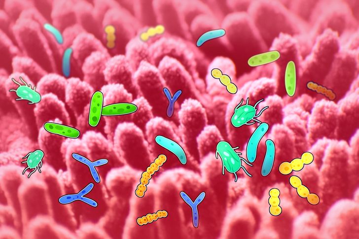 77f7ec58c5b2861205f10931d7