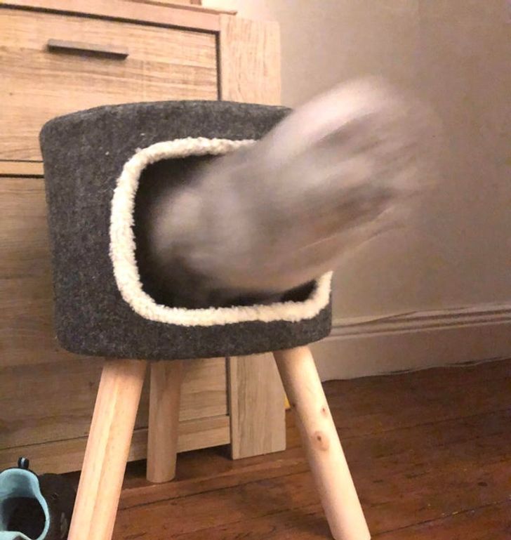 77f9815a5ba77d6949fb777c14